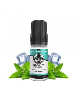 Ice Mint Salt - Lips