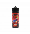 Raid 100ml - Secret's Lab