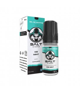 Ice Mint Salt - Lips