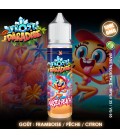 Knoks Nastea Peach Frost Paradise 50ml