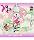 Knoks Xtaz Jaba 50 ml